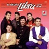 El Grupo Libra, 1998