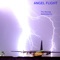 Angel Flight - The Roving Apatosaurus lyrics