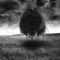 Dream - Eric Tripper lyrics
