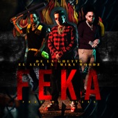 FEKA artwork
