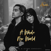 A Whole New World (From