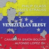 Philip Glass: Venezuelan Elegy artwork