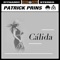 Cálida - Patrick Prins lyrics