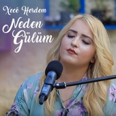 Neden Gülüm (Akustik) artwork