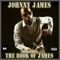 All I Do (feat. Jody Jarvis) - Johnny James lyrics