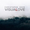 Visual Love - Single