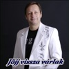 Jöjj vissza várlak