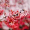 Cool Story - 77th Man lyrics
