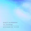 Beauty In Harmony Arr. For Strings - Single album lyrics, reviews, download