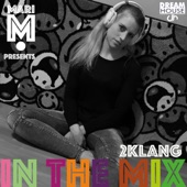 In the Mix (feat. Mari M.) artwork