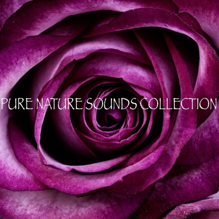 Pure Nature Sounds Collection