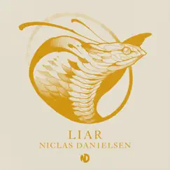 Liar - Single by Niclas Danielsen album reviews, ratings, credits