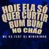 Stream & download Hoje Ela Só Quer Curtir / Bum Bum no Chão (feat. DJ Minerinho) - Single