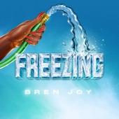 Freezing artwork