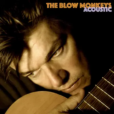 Acoustic - The Blow Monkeys