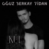 Oğuz Berkay Fidan - Kül