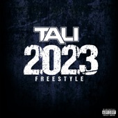 2023 Freestyle artwork