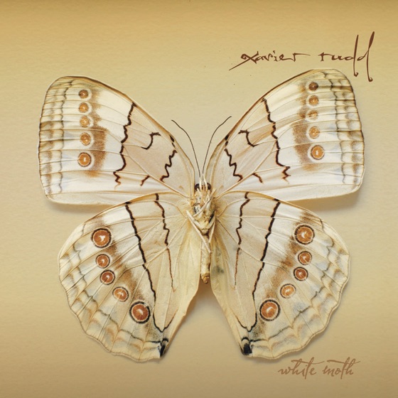 Cover artwork for Whirlpool