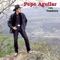 Ya Ves Que Quise Pedirte - Pepe Aguilar lyrics