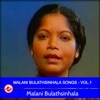 Malani Bulathsinhala Songs - Vol.1, 2012