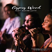 Tierro Band With Bridget Law - Gypsy Weed