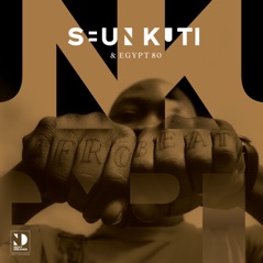 Seun Kuti & Egypt 80 (Night Dreamer Direct-To-Disc Sessions)