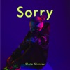 Shota Shimizu - Sorry