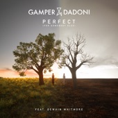 Perfect (For Somebody Else) [feat. Dewain Whitmore] artwork