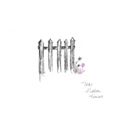 TOBi - Hidden Fences (demo)