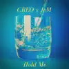 Hold Me (feat. Jem) - Single album lyrics, reviews, download