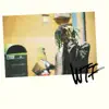 Stream & download WTF am I doin' - Single