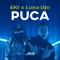 Puca (feat. Luna Djo) artwork