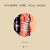 StadiumX - Where Are You Now (Extended Mix)