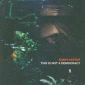 This Is Not a Democracy artwork