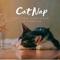 An Ode to Sleep - Piano Cats lyrics