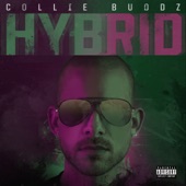 Collie Buddz - Love is Life