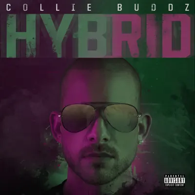 Hybrid - Collie Buddz