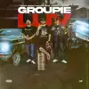 Groupie Luv - Single album lyrics, reviews, download