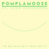 Je Me Suis Fait Tout Petit (feat. John Schroeder) - Single