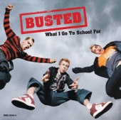 Busted - What I Go To School For (Alternative Remix)