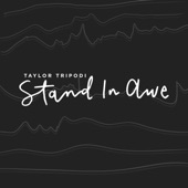 Stand in Awe (feat. Tom Young) artwork