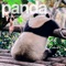Panda, Vol. 2 (Compiled by Sensorica) - Sensorica lyrics