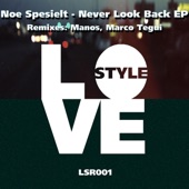 Love Style (Extended Mix) artwork