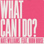 What Can I Do? (feat. Horn House) artwork