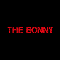 Gerry Cinnamon - The Bonny artwork