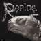 Rapide artwork