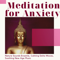 Dzen Guru - Meditation for Anxiety - Nature Sounds Ensemle, Calming Delta Waves, Soothing New Age Music artwork