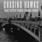 Django Time (feat. Chieli Minucci) - Chasing Hawks lyrics