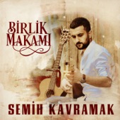 Birlik Makamı artwork