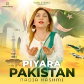 Piyara Pakistan artwork